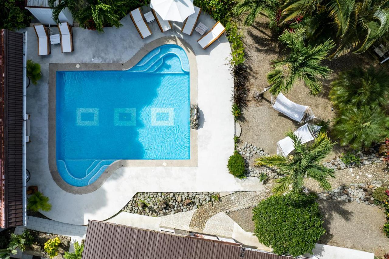 Tribe Boutique Hotel - Adults Only دومينيكال المظهر الخارجي الصورة
